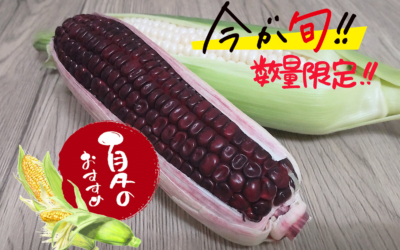 夏のごちそう！旬のとうもろこしが美味！